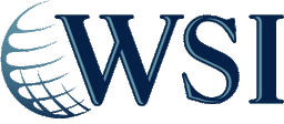 WSI Internet Marketing logo